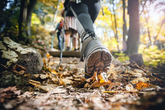 Eine Gruppe von Frauen beim Nordic Walking in einem herbstlichen Wald.